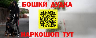 гидра Можга