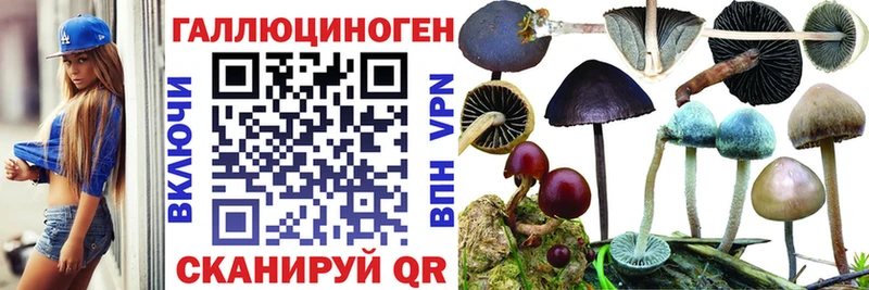 Галлюциногенные грибы прущие грибы  Сунжа 