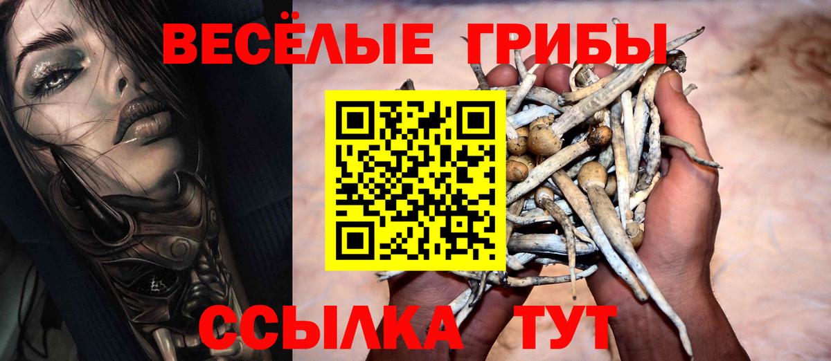 Псилоцибиновые грибы Psilocybe Сунжа