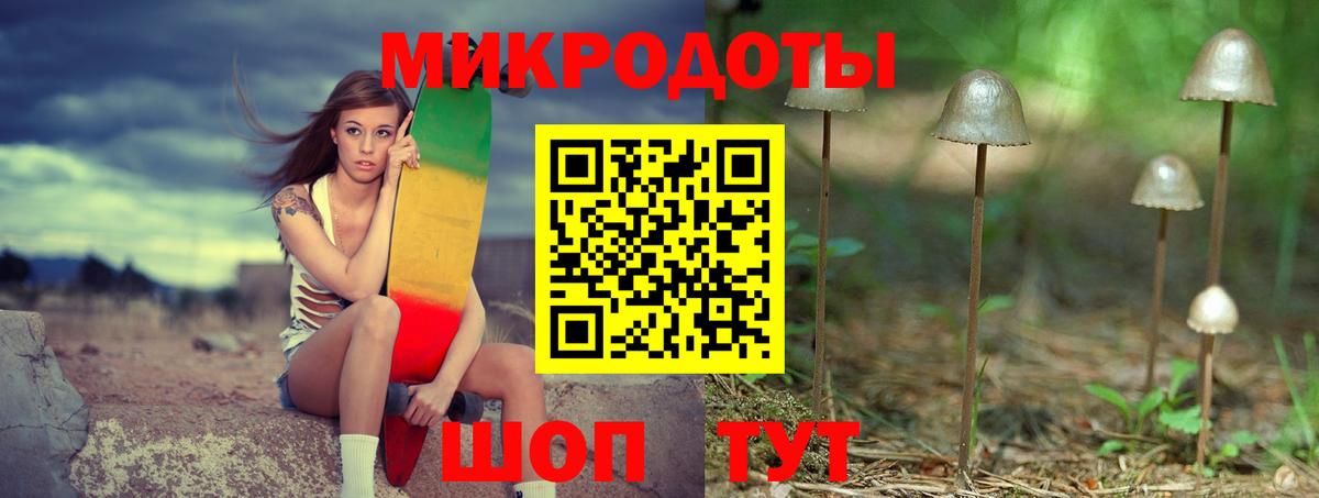 закладки  Псилоцибиновые грибы MAGIC MUSHROOMS  Вход с VPN  Сунжа 