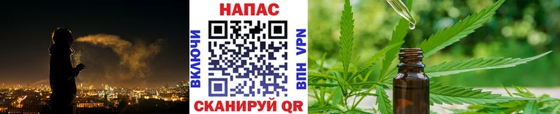 Бошки марихуана конопля  наркота  Сунжа 